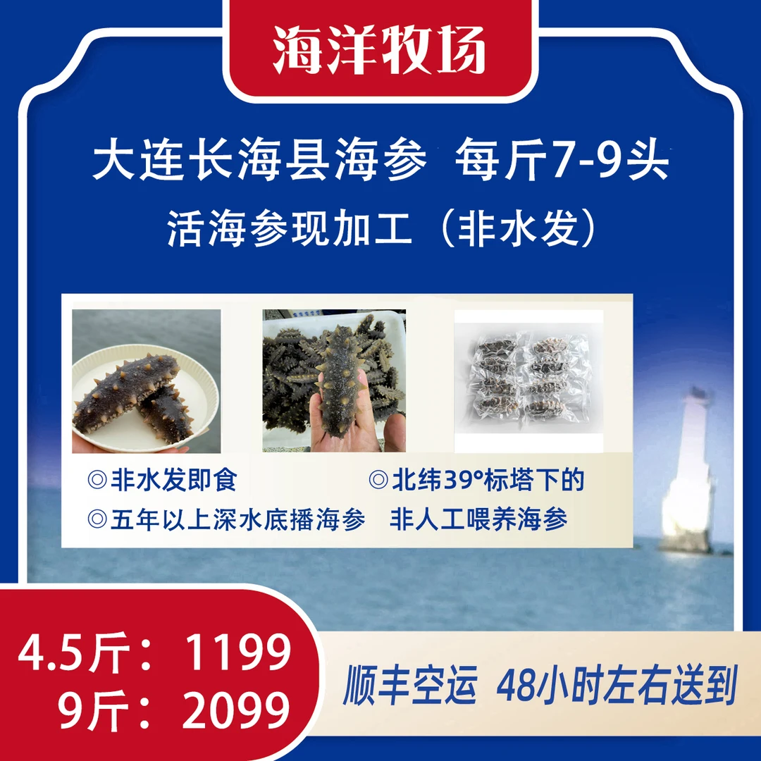 【冷蒸即食海参】大连长海海参 鲜活海参现加工 即食海参 （7-9头）