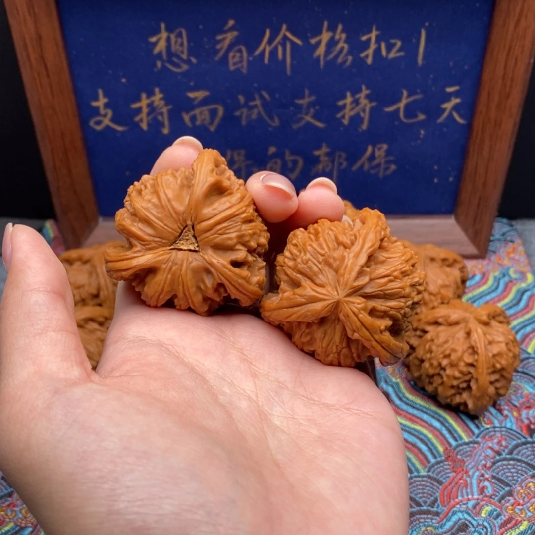 【闪购商品】我**人白狮