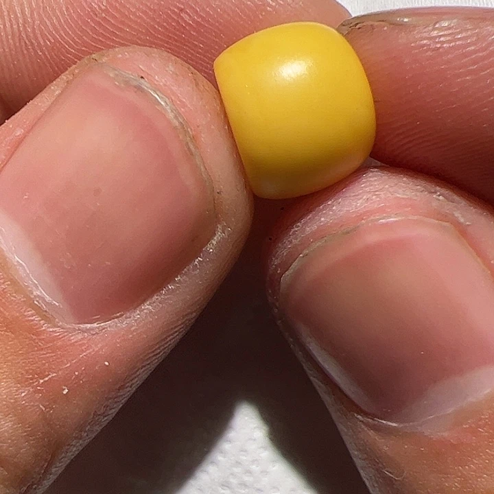 香榧木在这里的时候