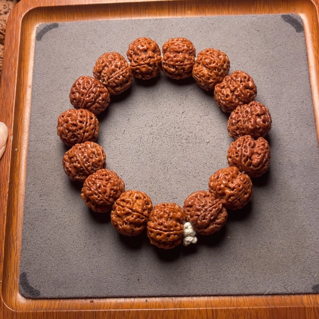 菩提4号金刚菩提原生态梅花蜂窝21+