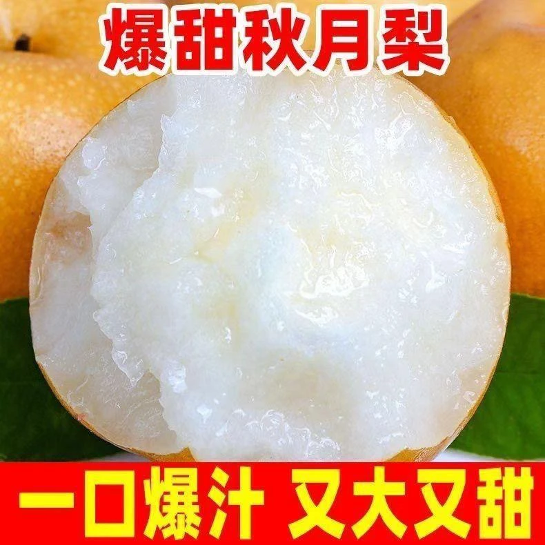 【彩箱】正宗秋月梨新鲜当季水果超甜冰糖梨子大果脆薄皮彩箱