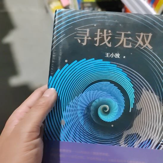 寻找无双王小波正版
