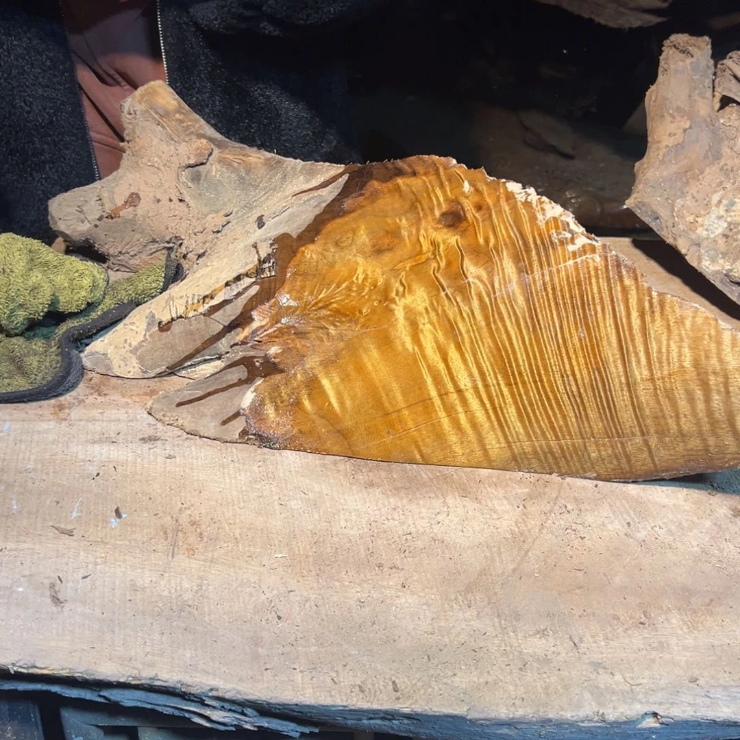 禾***风金丝楠2222222222222222