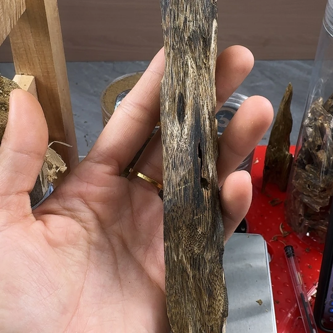 香料绿奇楠虫漏陆河34克
