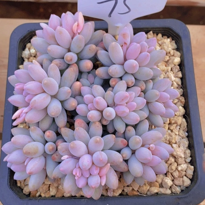 这些东西真的不是什