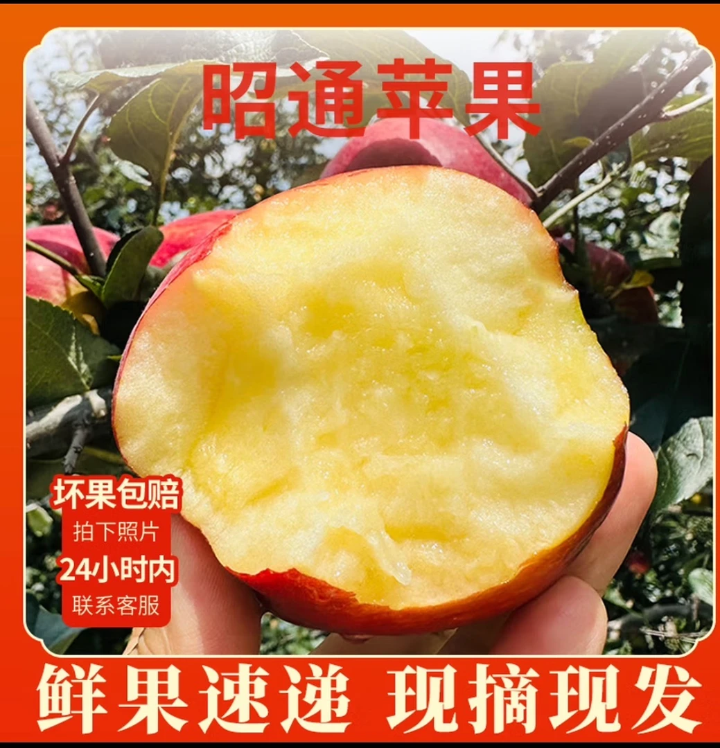 冰糖心云南高原昭通丑苹果新鲜脆甜多汁自然成熟当季水果产地直发