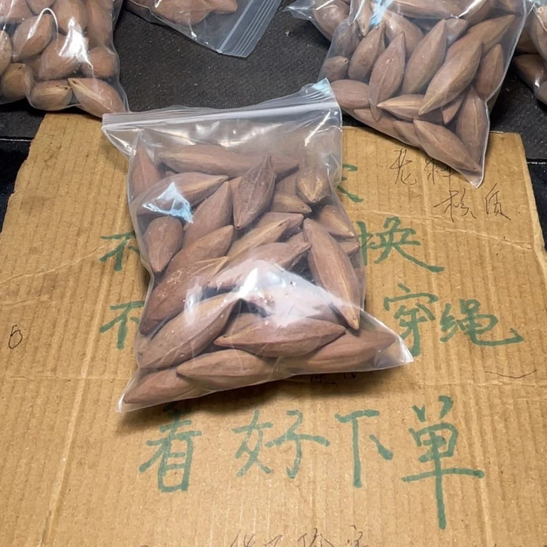 太***子不退不换qeeryiiooop