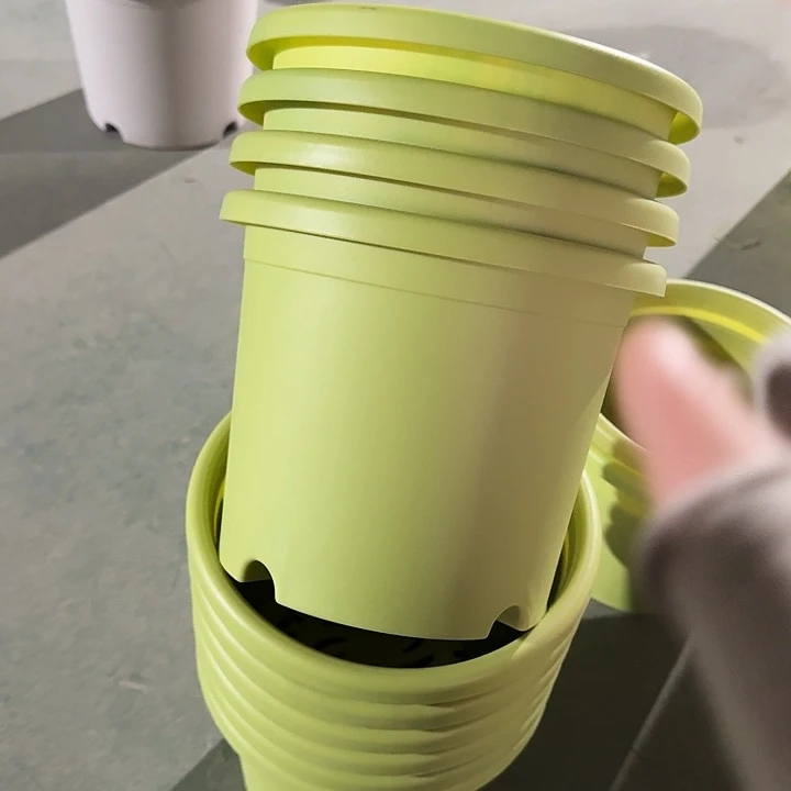 四季口径21果绿10个无托