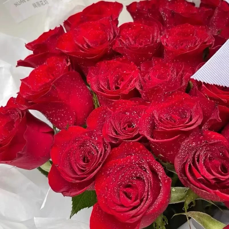 A级高原红玫瑰鲜花情人节七夕节520节日生日高端定制鲜花礼物