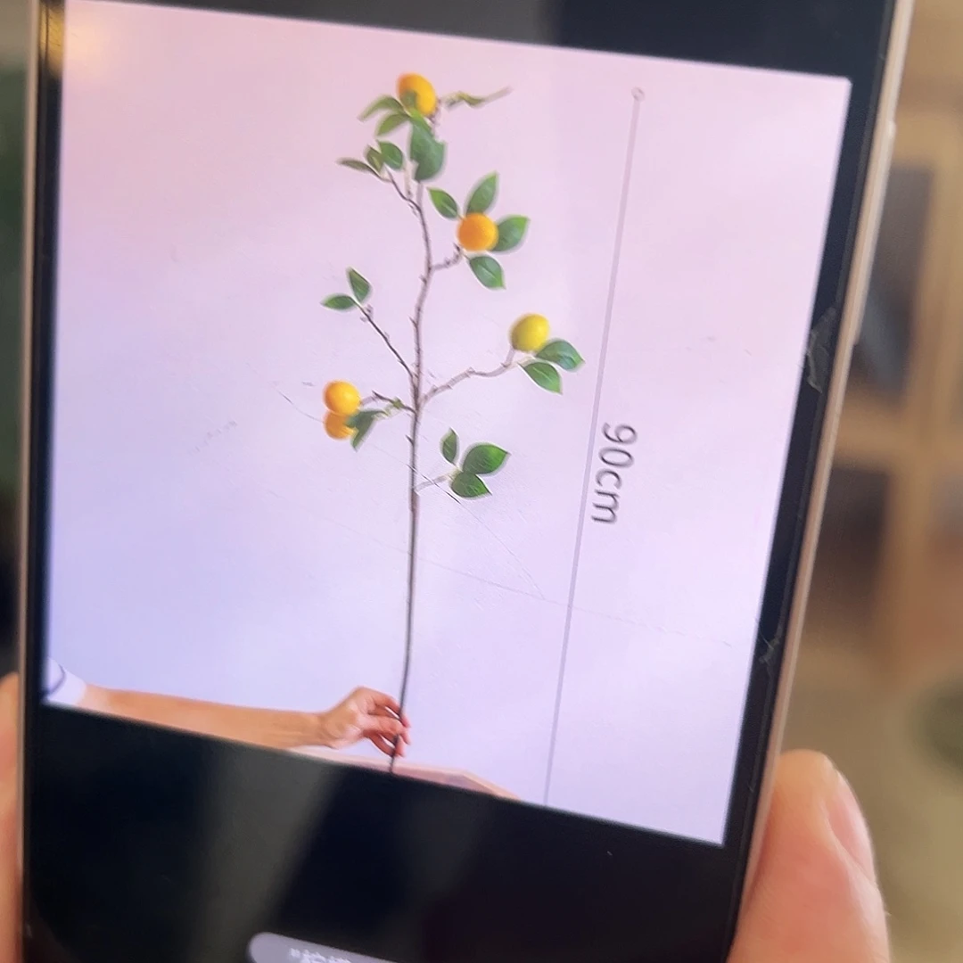 抖音直播大支柠檬6支