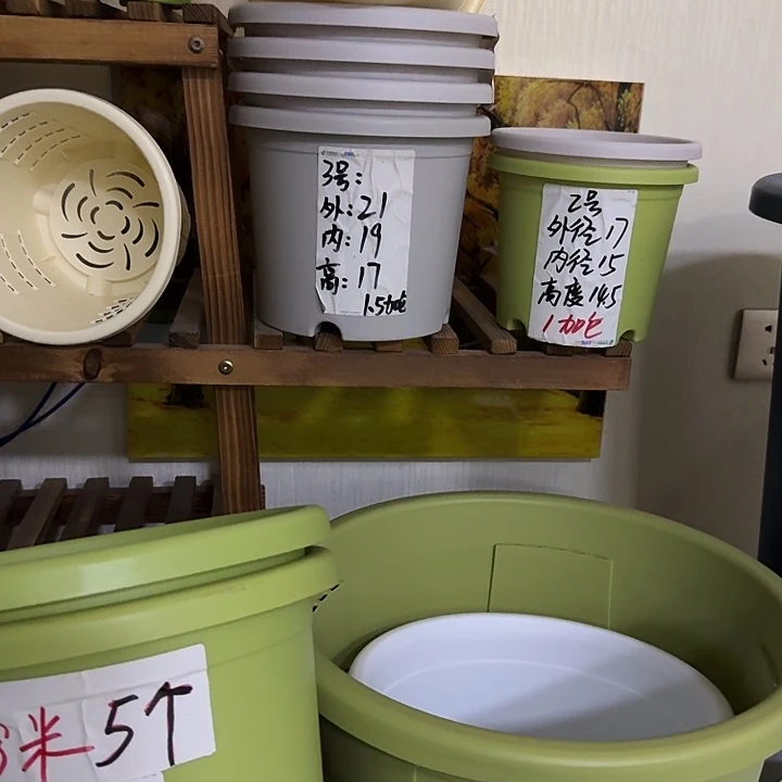 灰白色3号口径21高17无托20个