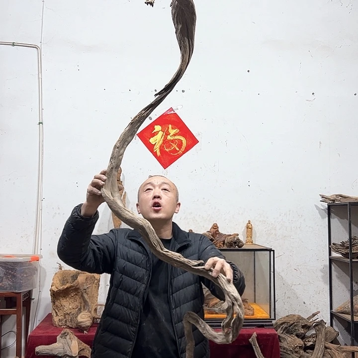 柏木交****制我们的生活也是如此