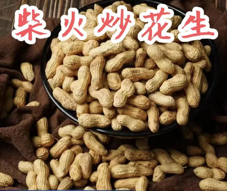 2025年花生原味柴火炒花生带壳花生下酒花生休闲零食