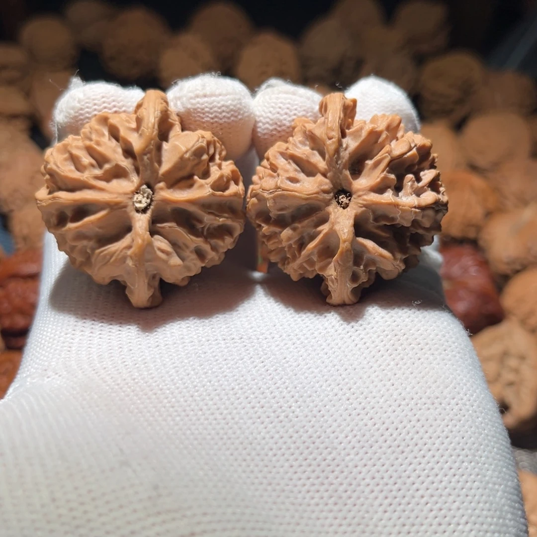 我***拉40全品苹果园核桃