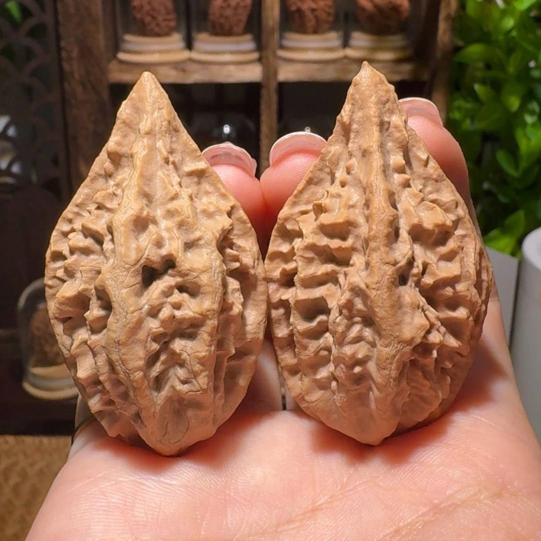 文玩核桃把件鸟头