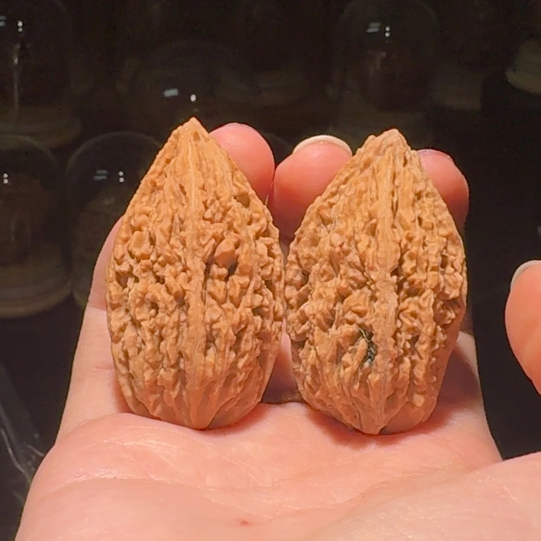 吊坠文玩核桃蚂蚁棍