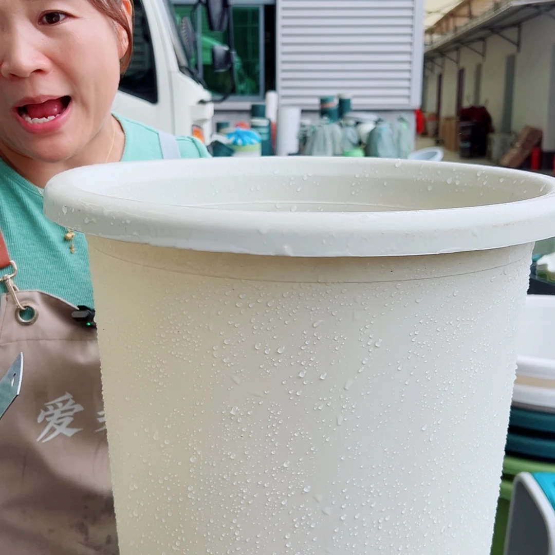 四季盆8#米白色5个无托