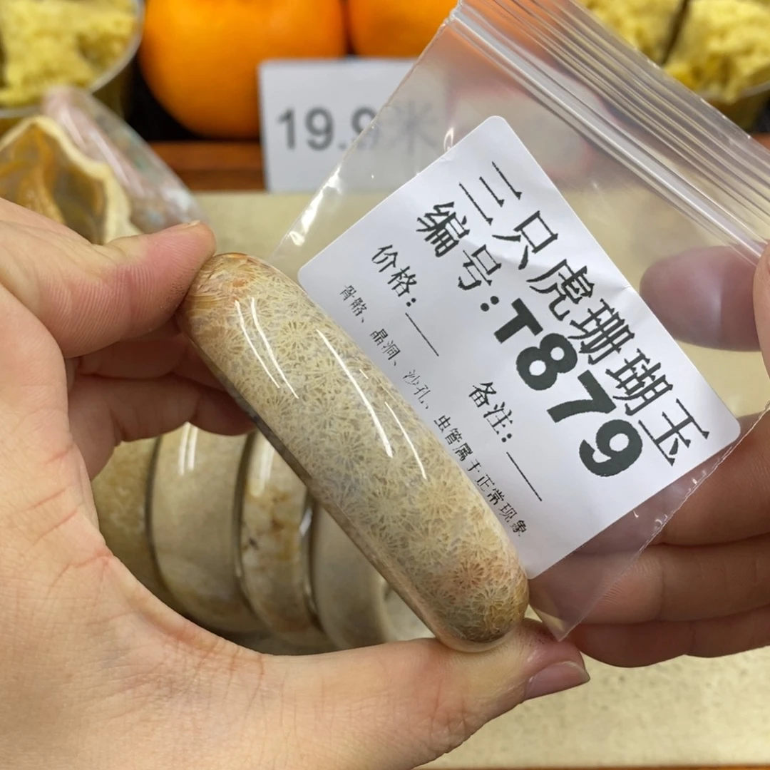 硅化珊瑚（珊瑚玉）1未镶嵌