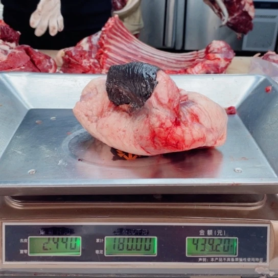 【闪购商品】冷冻保存30天包装河北省