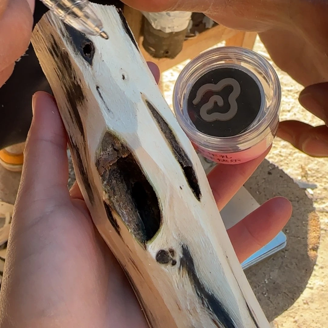 树脂制品1号奇楠原木一个