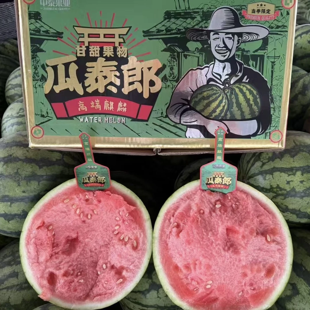 瓜泰郎 高端甘肃无籽麒麟西瓜 4-10斤/颗