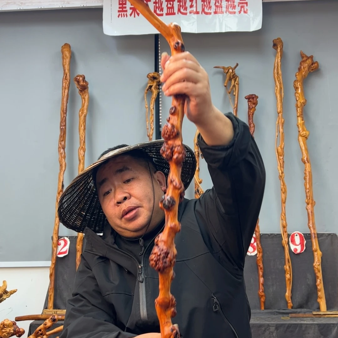 黑果木其他实*人黑果木479