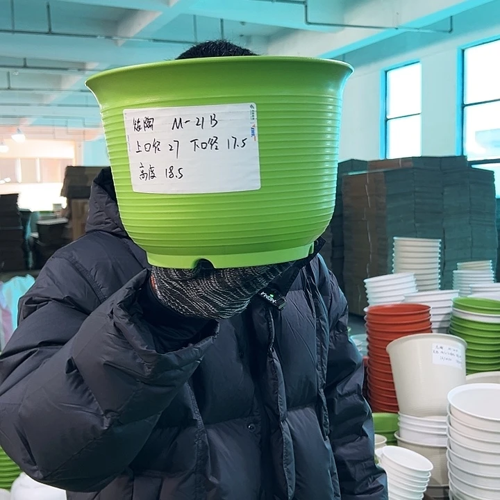 正品矮陶口27高18.5果绿无托6只