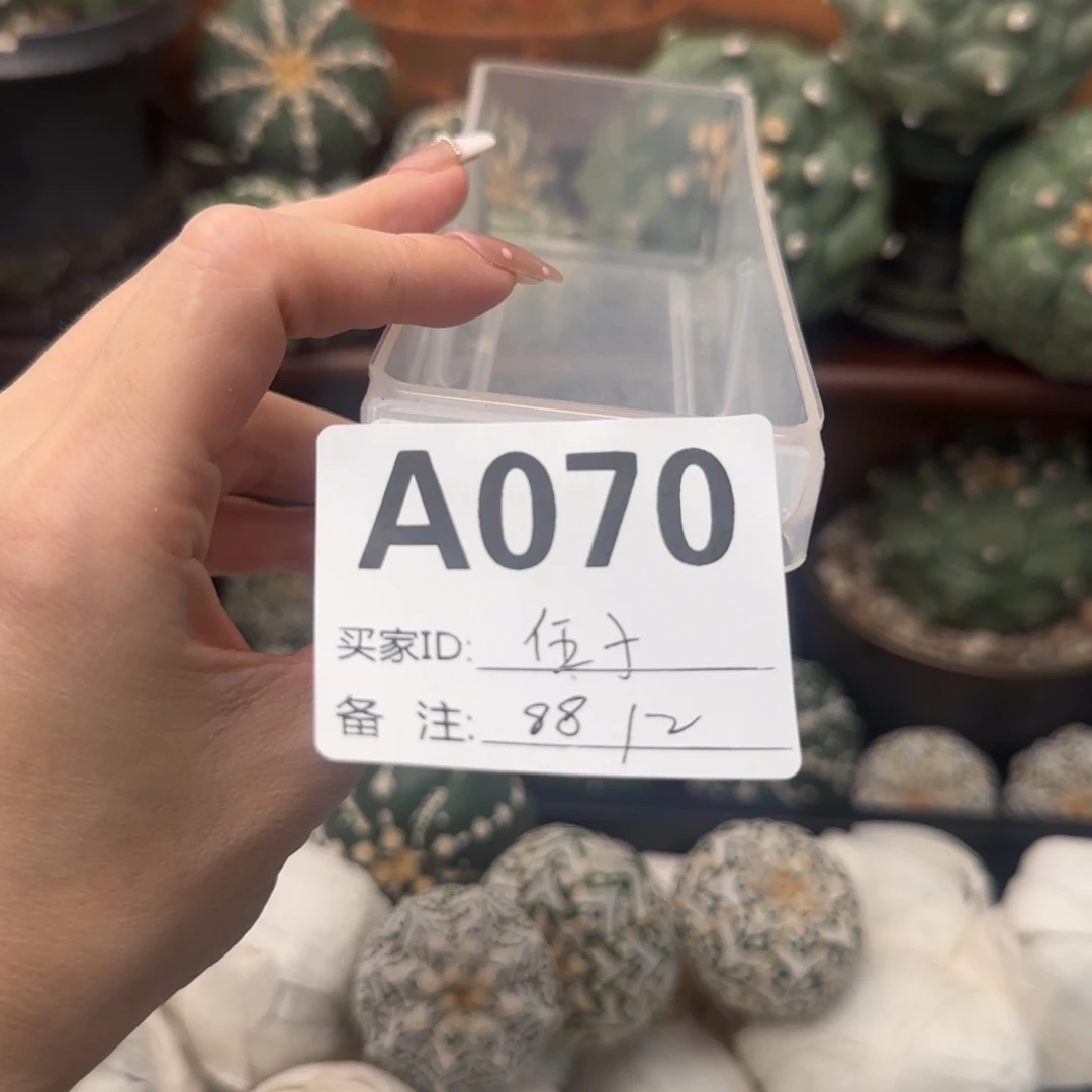 泰兜盲盒福利退单拉黑