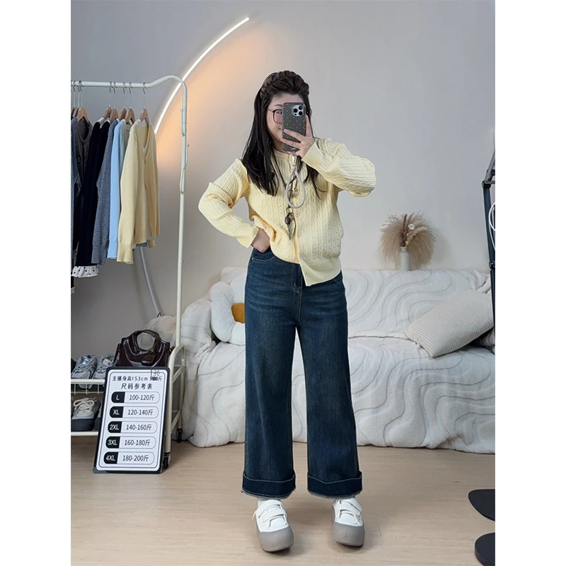 2025春季新款牛仔裤复古女胖妹妹mm高腰显瘦梨型身材直筒大码裤子