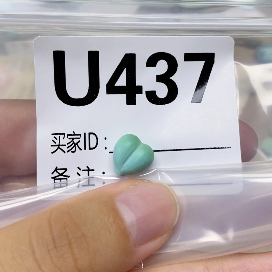 正***）未镶嵌绿松石配饰
