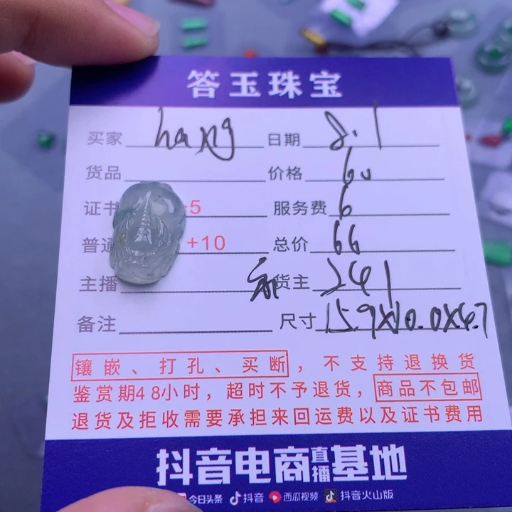 翡翠未镶嵌颈饰h**g