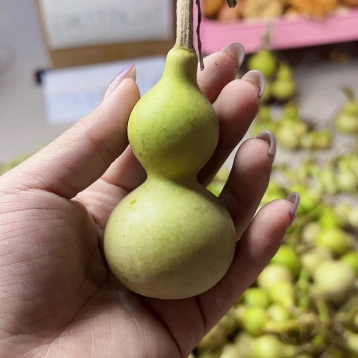 葫芦中国大陆我***名