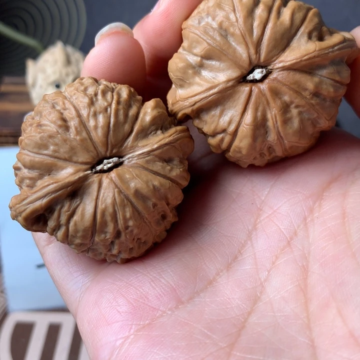 漫***星木质类南瓜8克配料葱末各一