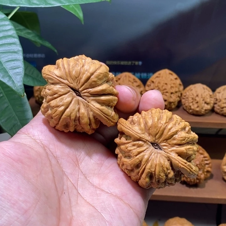 文玩核桃把件龙鼎53尺全品012