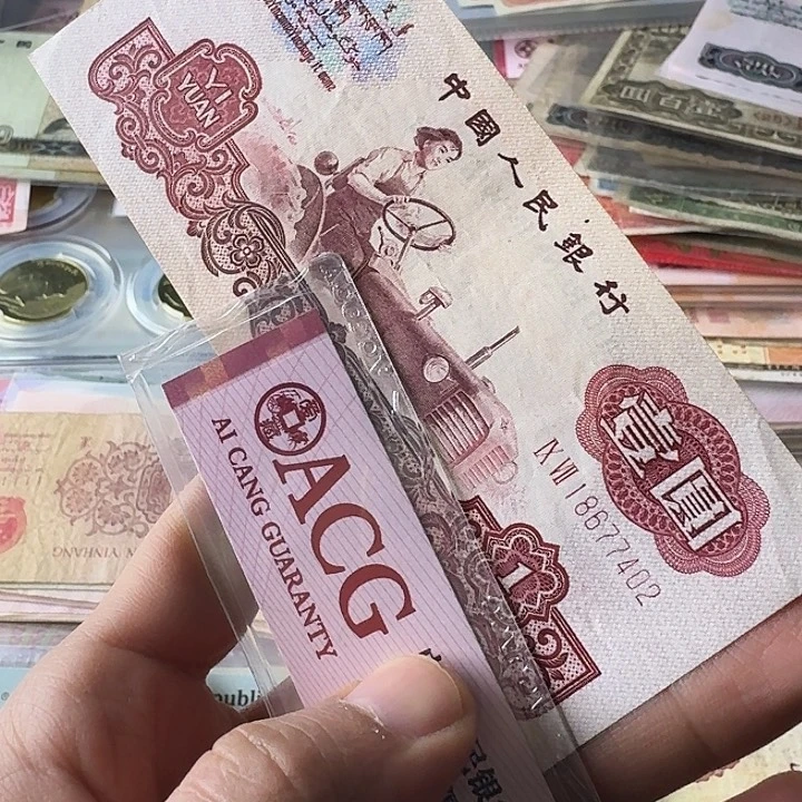 流通8品补号402………………流通