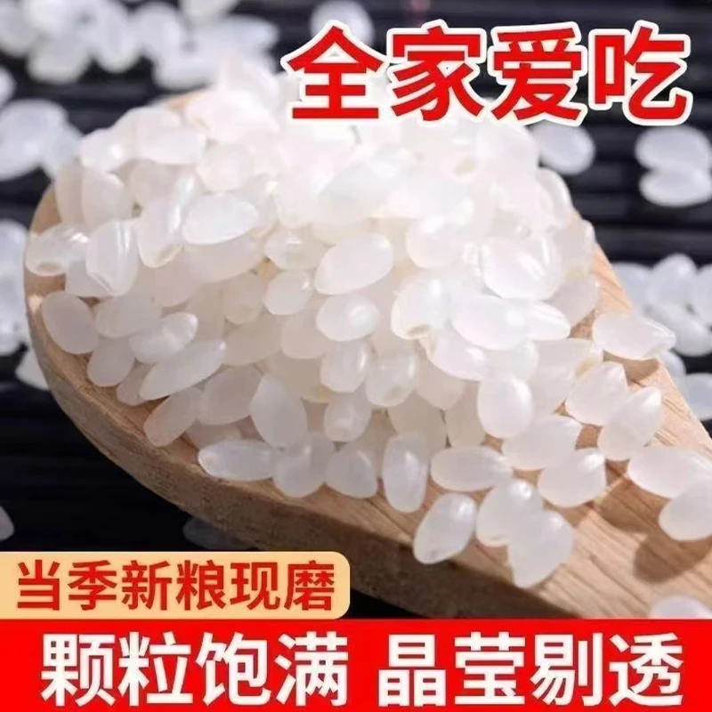 东北大米圆粒5kg粳米新米珍珠米甄选黑龙江大米10斤装Y