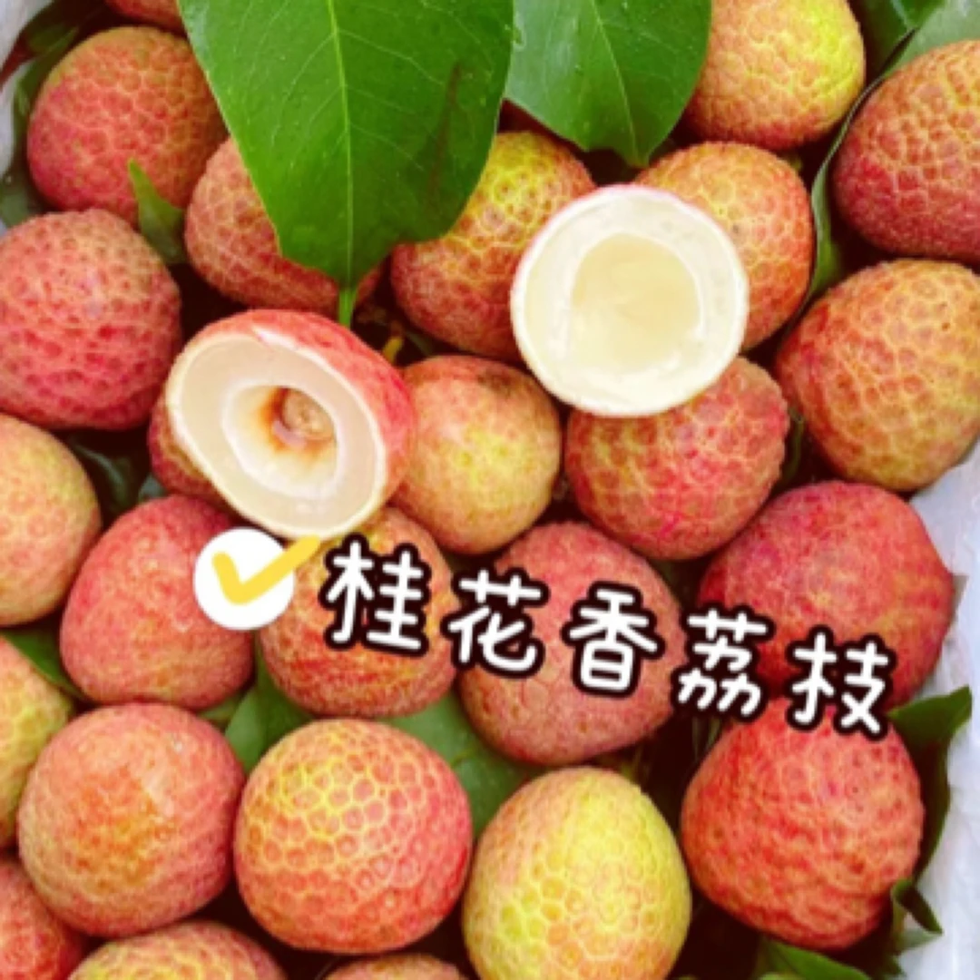 桂味荔枝一斤500g海南省