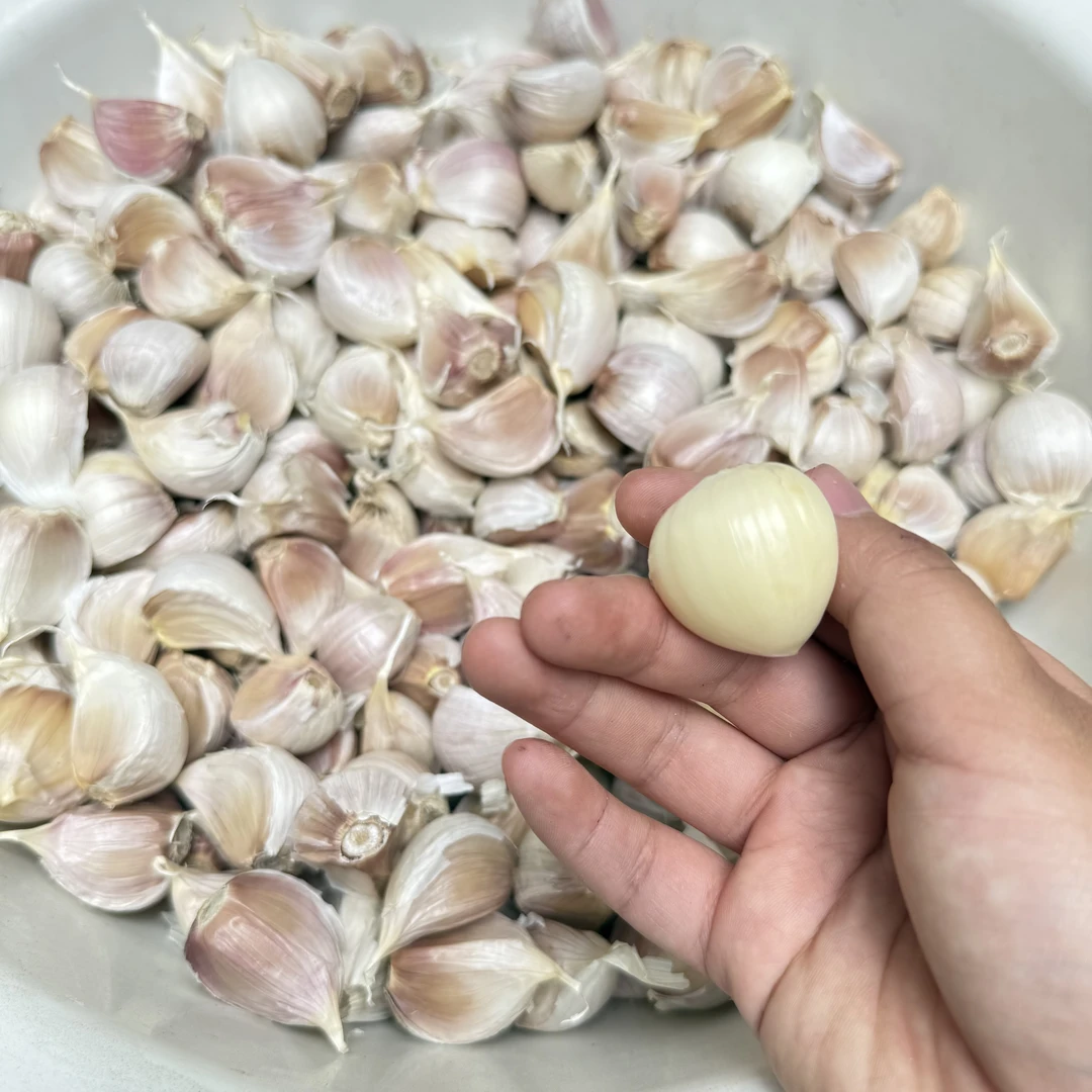 山东2025大蒜四六瓣老品种大蒜新蒜手工精选大蒜瓣斤3斤5斤苍山