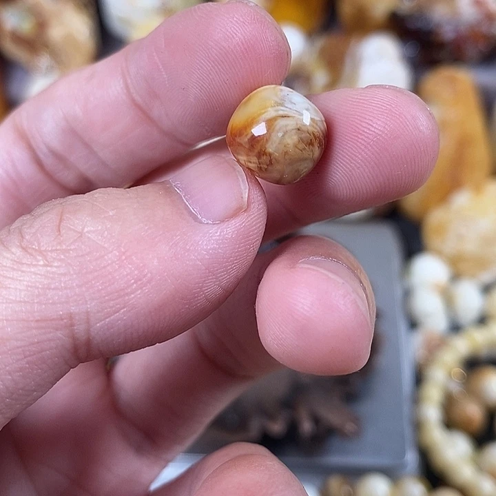 裸石琥珀未镶嵌我