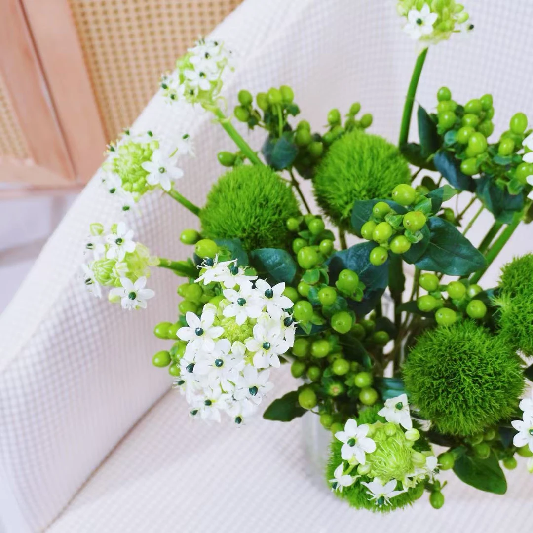 【小清新花材】绿毛球 天鹅绒花材长花期纯洁家庭插花