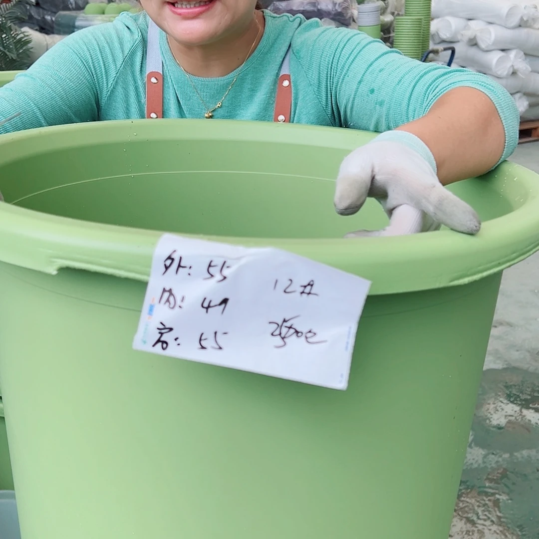 瑕疵四季盆12#果绿色2个无托