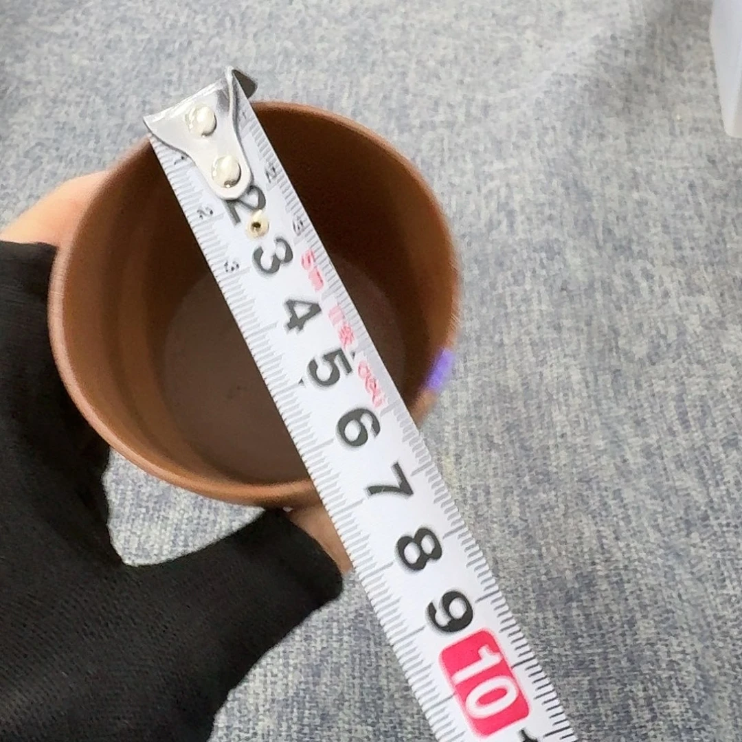 非常美丽漂亮的物品