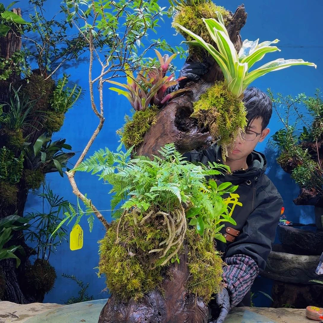 魔***珠完全开放私人定制