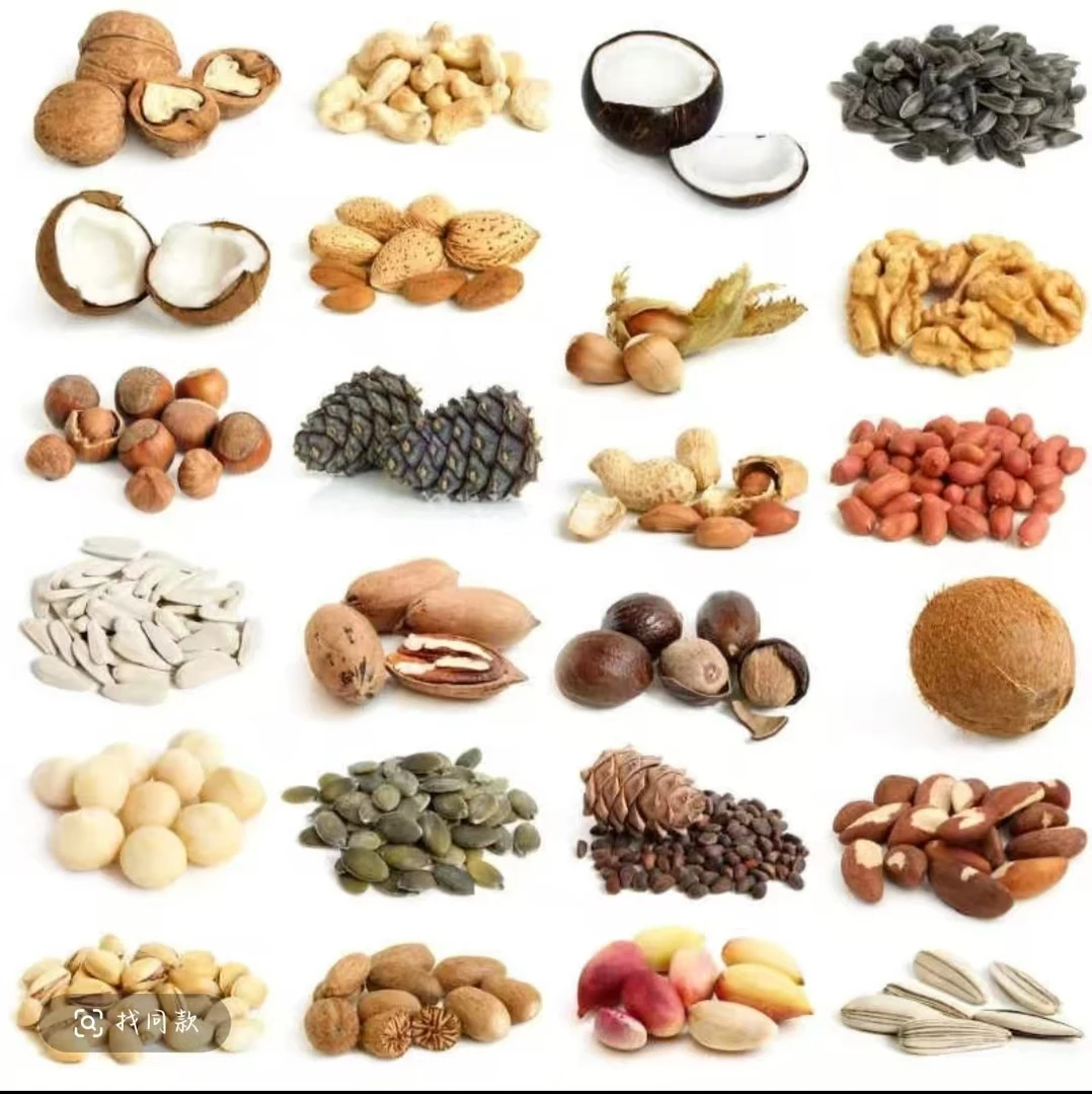 云南特产非香菇独特风味的特色食材