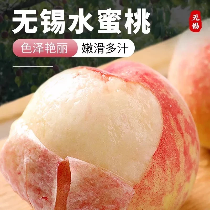 【桃王】无锡水蜜桃白凤鲜果 单果5-6两8只礼盒装新鲜采摘水蜜桃