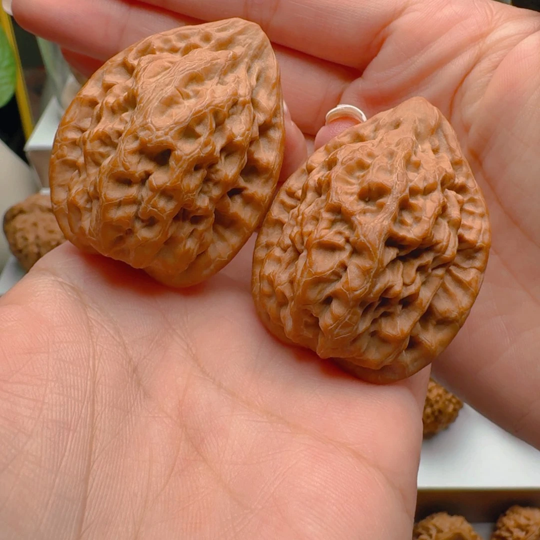 把件核桃37尺寸金公子