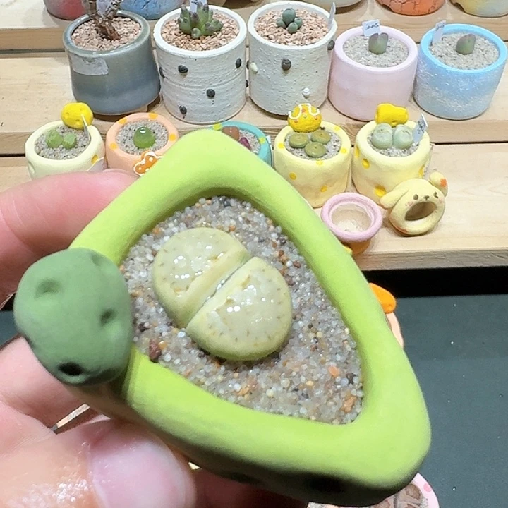 红陶蘑菇261奶油寿丽