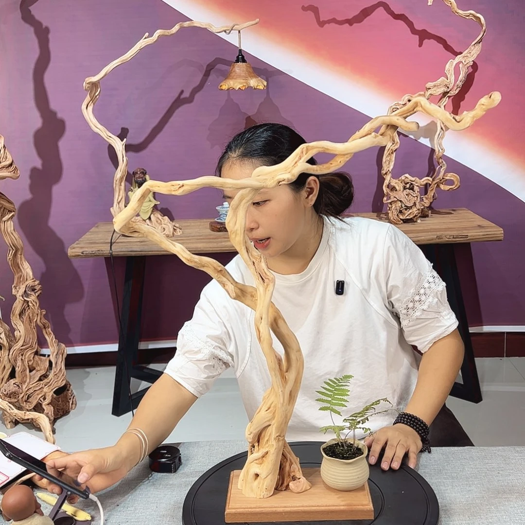 手***4木天然杜鹃根根艺摆件