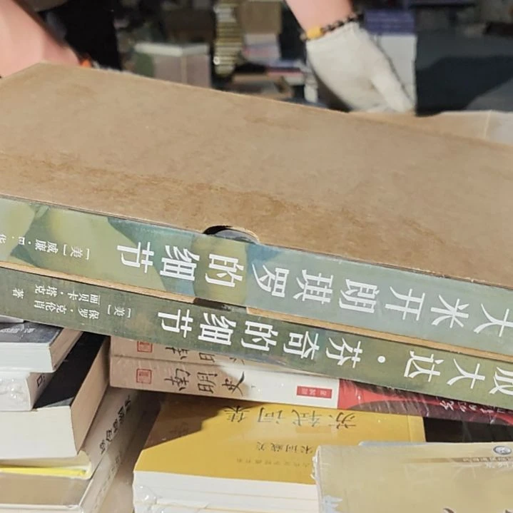 放大达芬奇➕米开朗琪罗