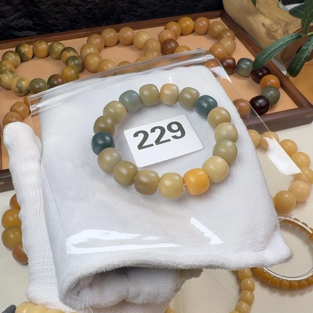 吊坠菩提根/象牙果纯天然13干磨瑕疵